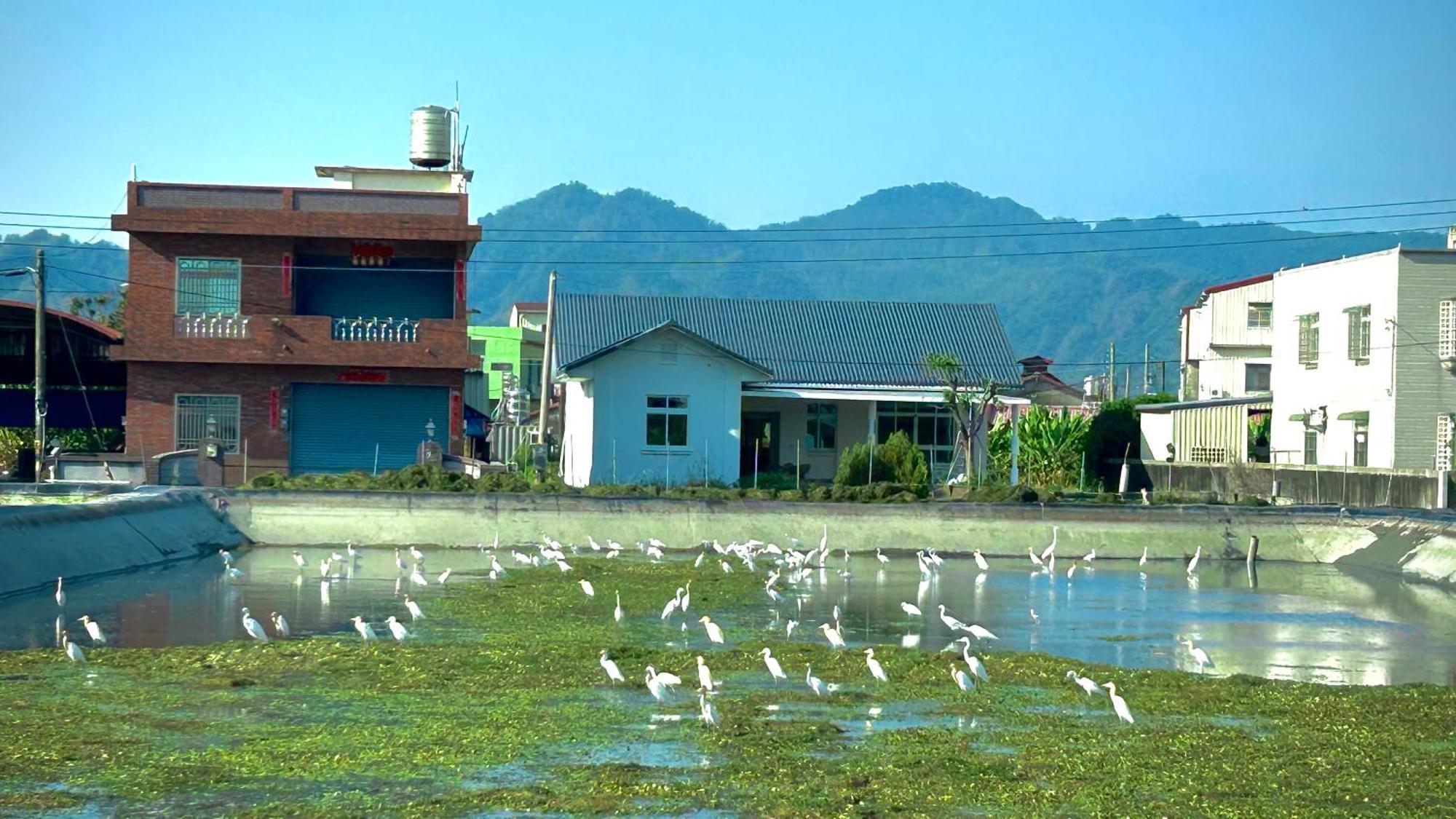Mei-nung Mei Nong Villa المظهر الخارجي الصورة